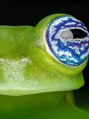 Meet your Posher, Emmanuel